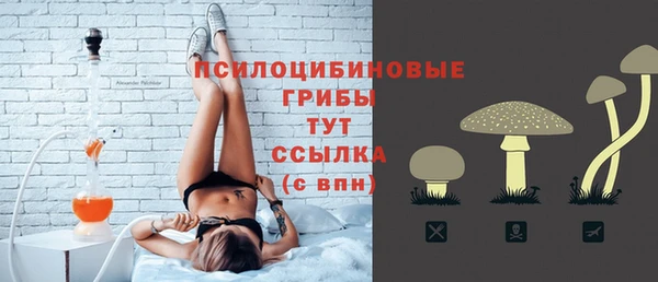 синтетический гашиш Богородск